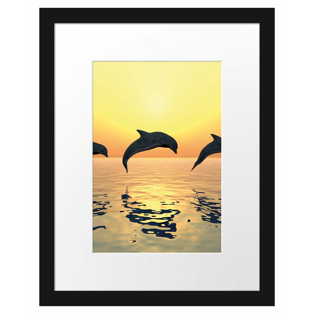 Gerahmter Fotodruck Jumping Dolphins