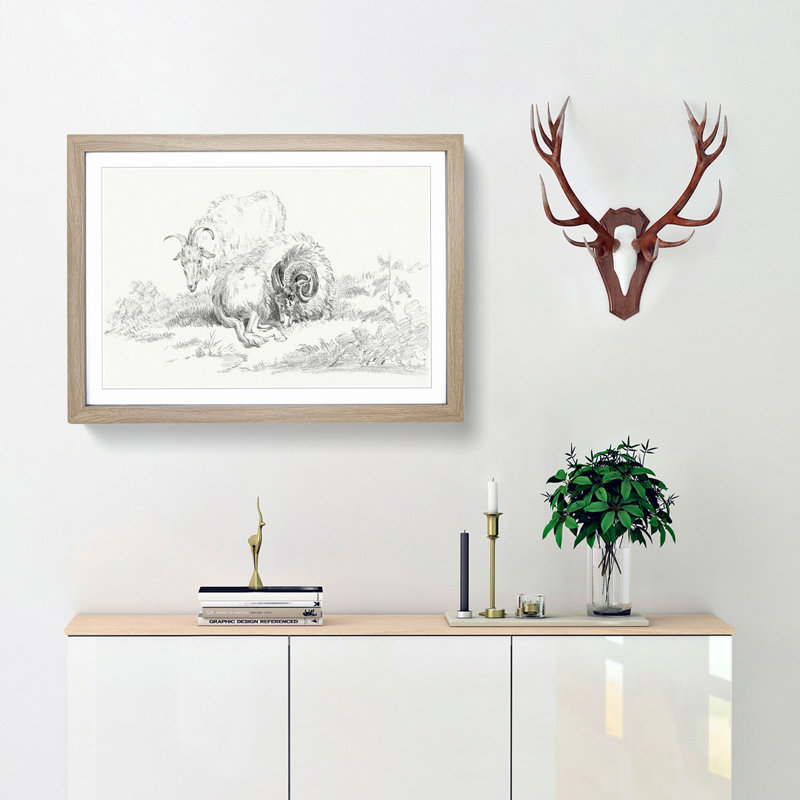 Sketch of Two Goats by Jean Bernard - Picture Frame Drawing Print, 48cm H x 65cm W x 2cm D, Oak Framed