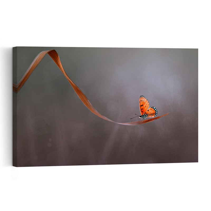 Orange Butterfly On Leaf Delicate Peaceful Tranquil Butterfly Nature Wildlife Wall Art Print 1 Piece Wrapped Canvas Wall Art