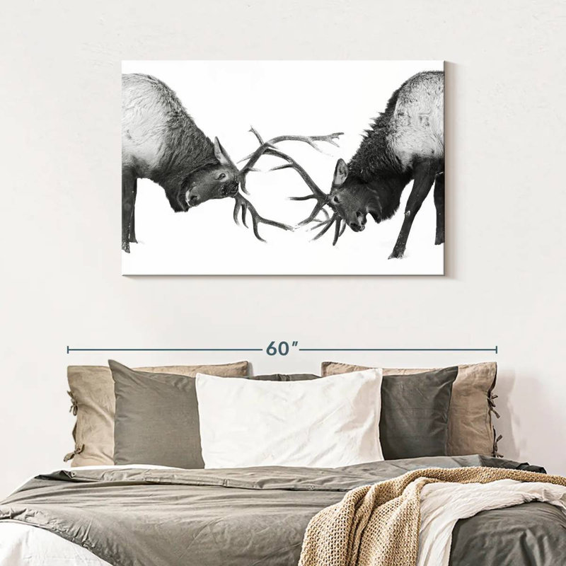 Brampt Fighting Elks, 30" H x 45" W
