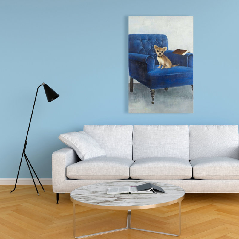 Chihuahua sur un fauteuil