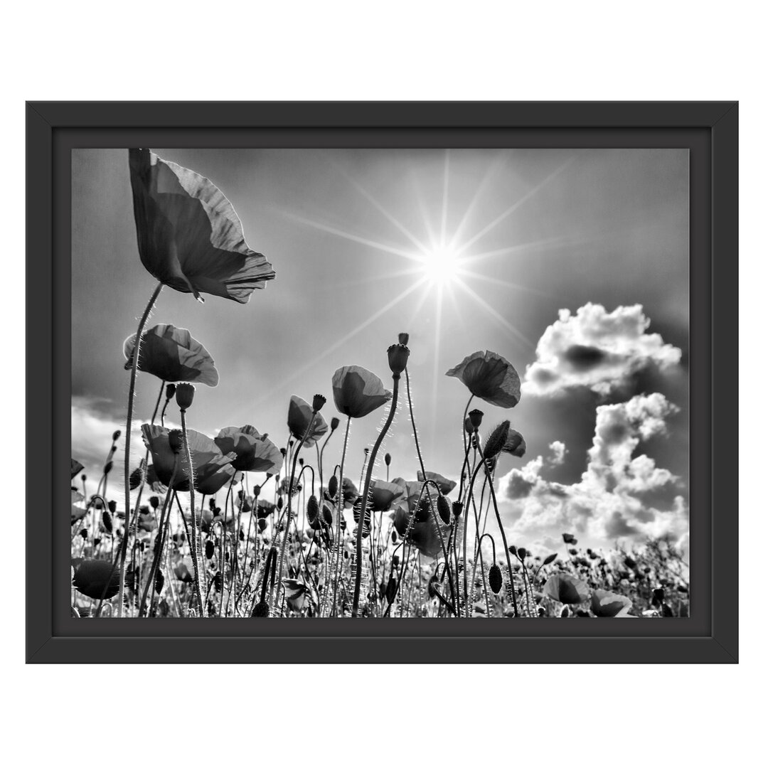 Gerahmter Fotodruck Poppies