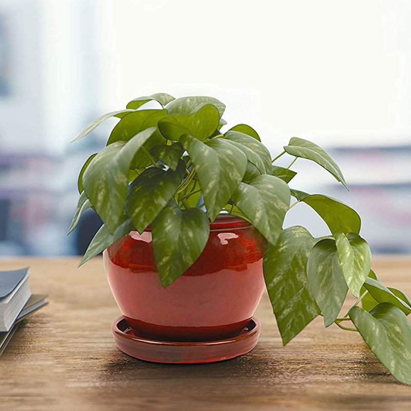 Ceramic Pot Planter