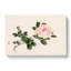 Pink Peony Flower by Kono Bairei - Wrapped Canvas-55339265