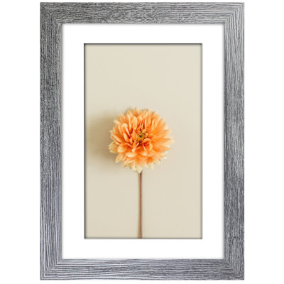 Single Picture Frame