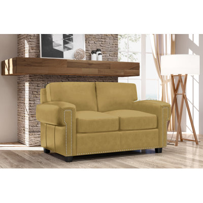Fardin 63'' Leather Sleeper Loveseat