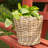 Round Planter With Plastic Insert