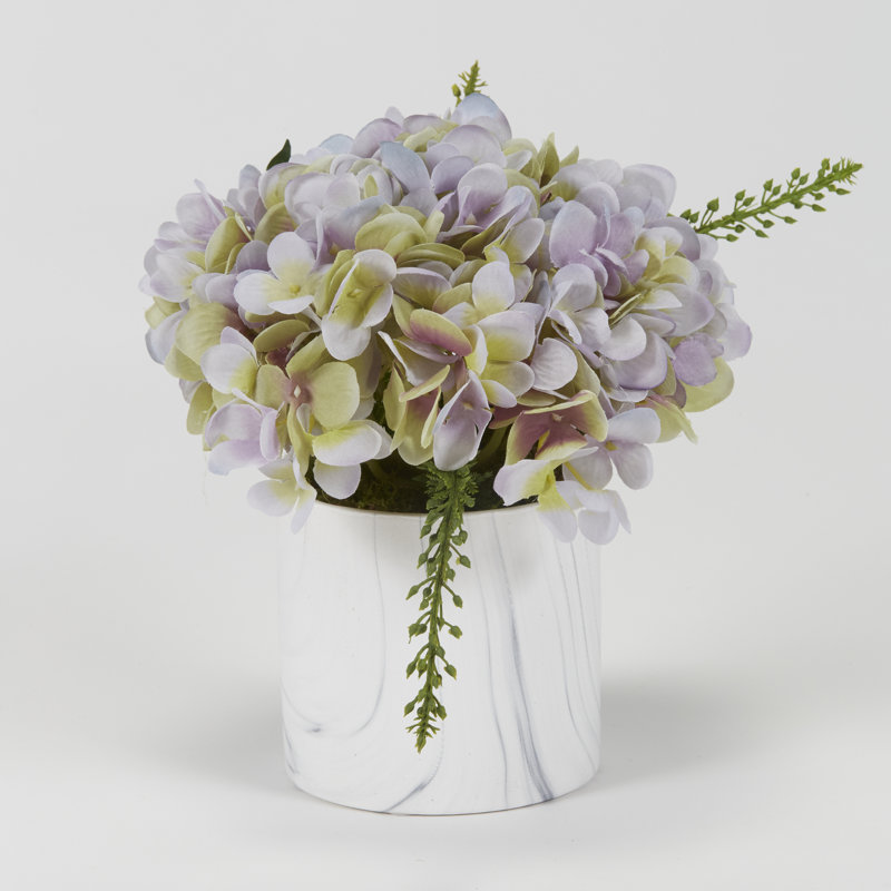 Magnifique hortensia en pot