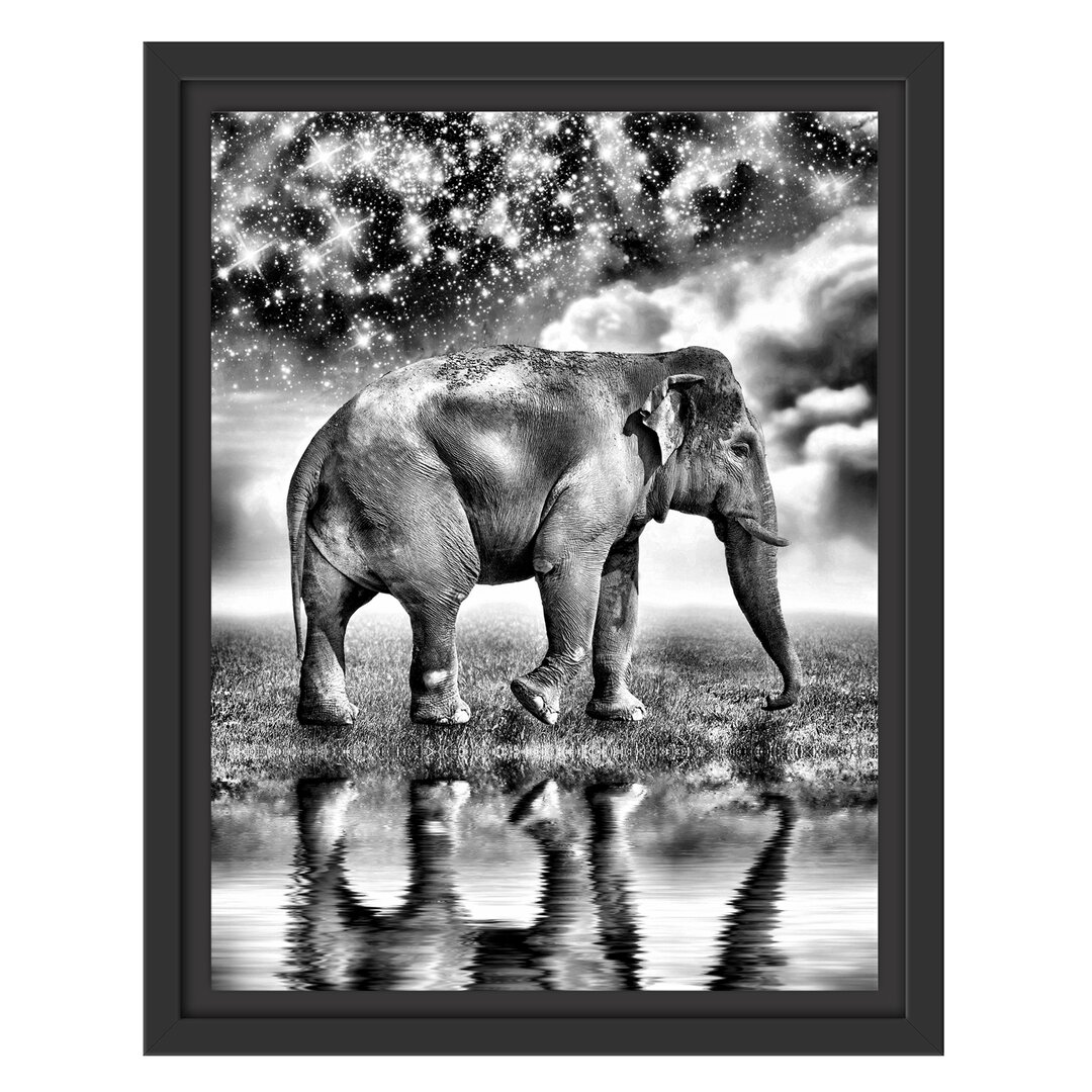 Gerahmtes Wandbild Elefant mit Sternenhimmel