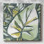 Fauve tropical V-422481711