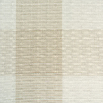 Camden Cotton Check Fabric