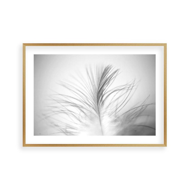 Print, Brushed Copper Frame, 31 cm H x 41 cm W x 2.5 cm D