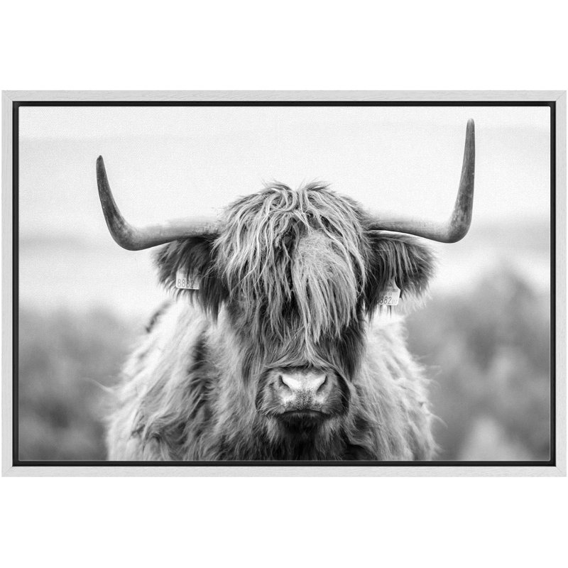 Animaux - Shetland noir et blanc, H 16 po x l 24 po x P 1,5 po, Blanc