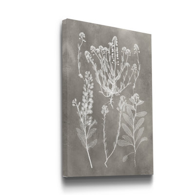 « Herbarium Study III », reproduction d’art sur toile tendue