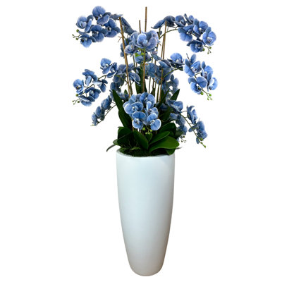 Orchid Arrangement in Large Fiberstone Planter