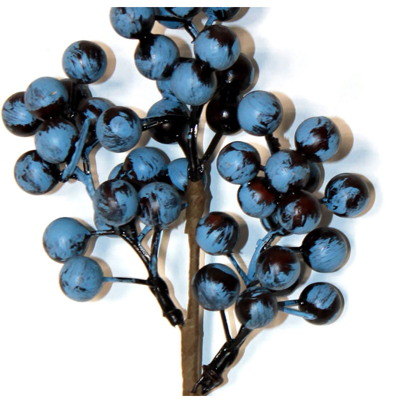 Cueillette de bleuets 10 po
