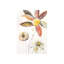 Watercolor Flowers II Print by Leftbank Art-26929401-26929404