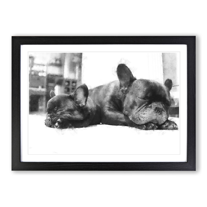 Two French Bulldogs - Framed Print, Black Framed, 27cm H x 36cm W x 2cm D