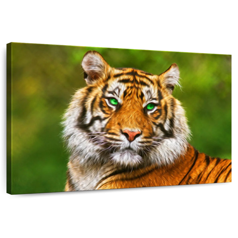 Tigre aux yeux verts Brampt, H 20 po x l 30 po
