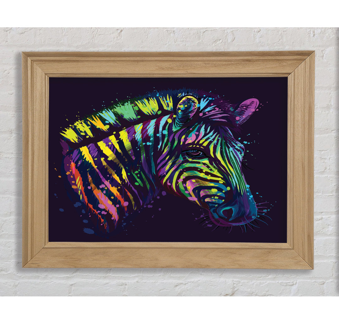 Regenbogen Zebra Leben - Druck