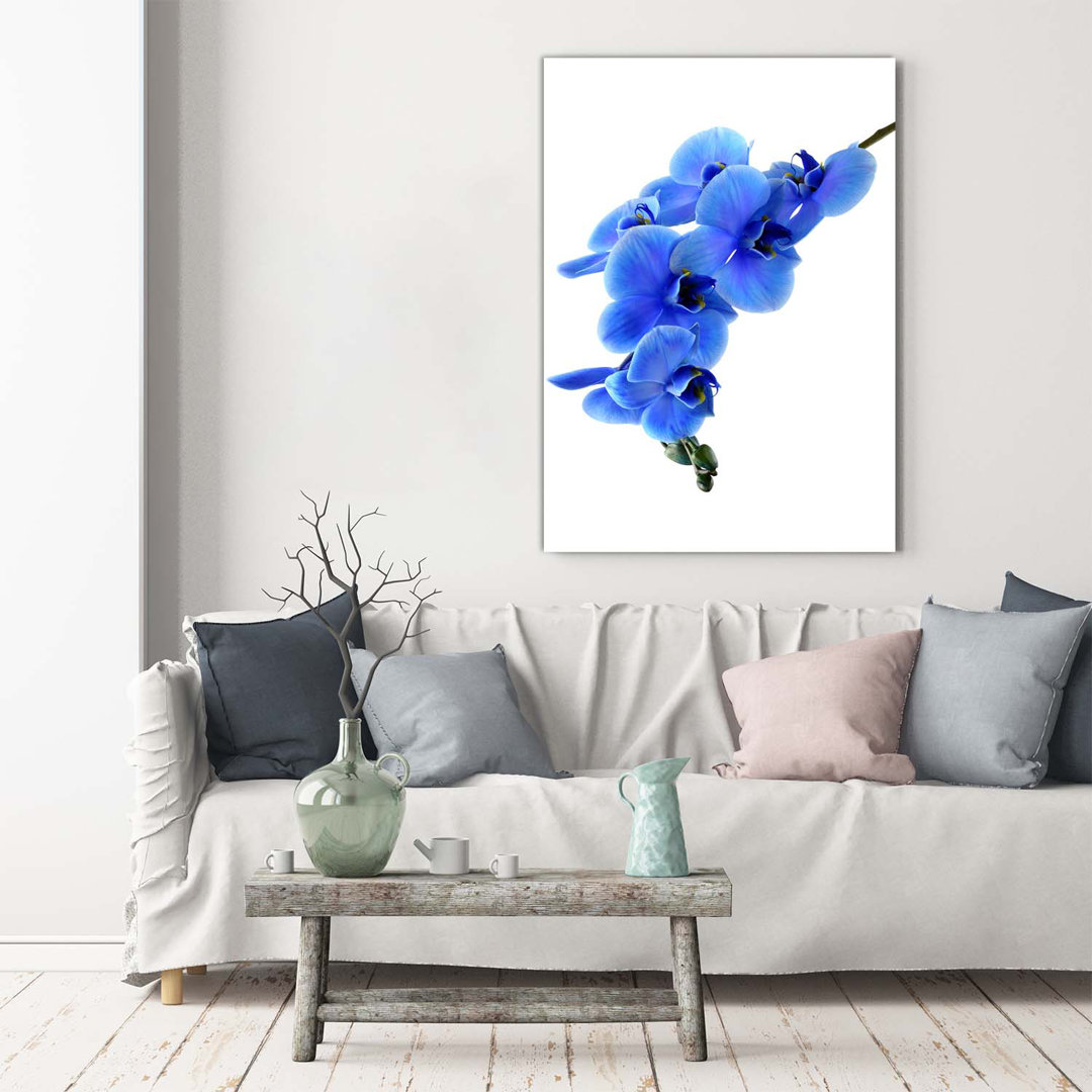 Blaue Orchidee - Kunstdrucke auf Leinwand - Wrapped Canvas