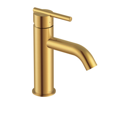 Parma Single-handle Bathroom Faucet with Drain Assembly