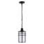Luminaire suspendu d'extérieur 1 lumière H 12,5 po Shawonda