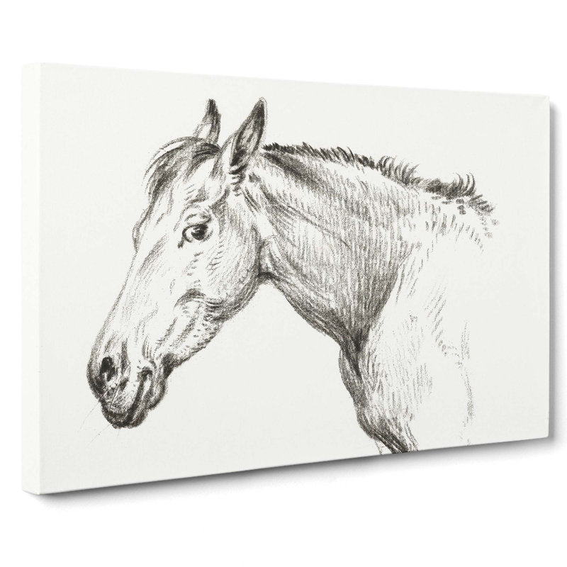 The Head Of A Horse by Jean Bernard - Wrapped Canvas Print, 35cm H x 50cm W x 3cm D