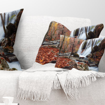 Throw Pillow