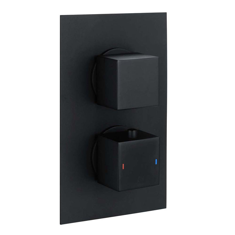 Zella Double Concealed Thermostatic Shower Valve