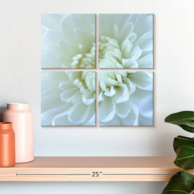 Harnek gros plan sur une fleur blanche I