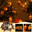 Guirlande de lumières d'Halloween-609927995