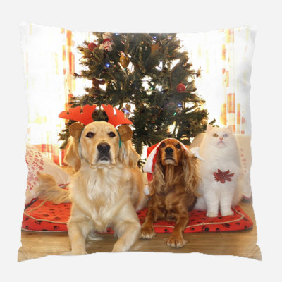 Canvas Outdoor Reversible Throw Pillow