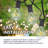 Agnon 50 - Bulb 50 in. Plug-in LED Globe String Lights
