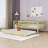 Buchheit Twin Daybed with Trundle by Red Barrel Studio®-1011438310