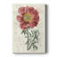 Peony Flower Garden IV - Impression sur toile tendue-919031671