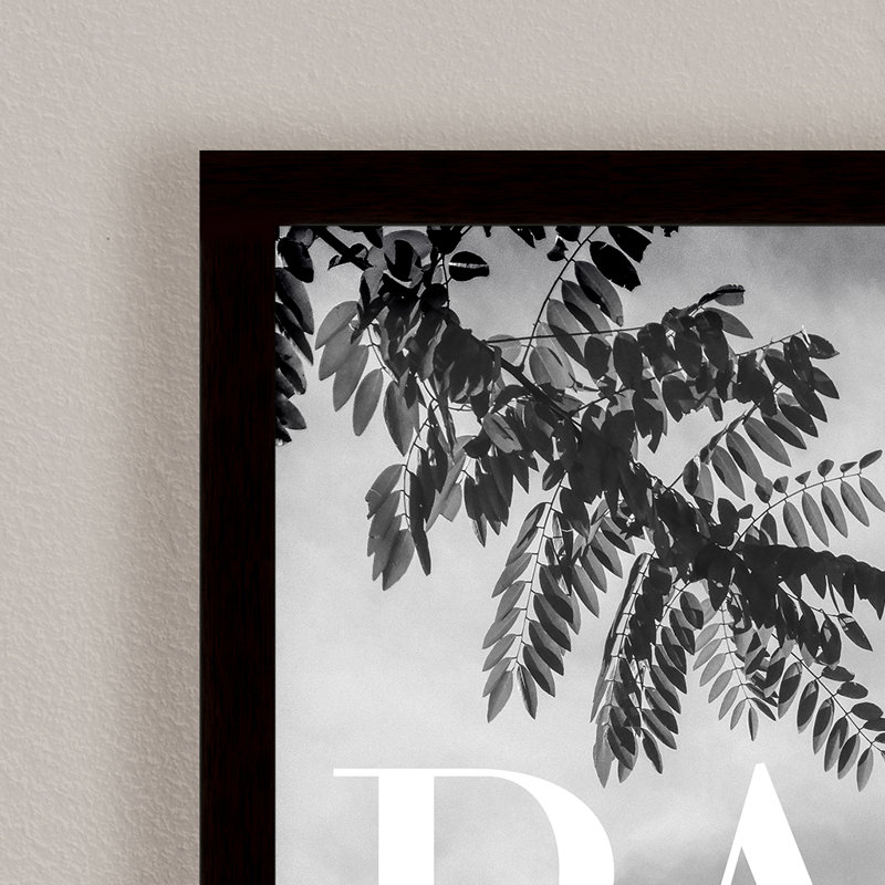 Classic Elegance "Paris " Framed Print Wall Art, 30" H x 20" W