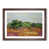 Walnut Framed