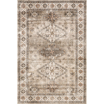 Haskett Distressed Machine Washable Area Rug
