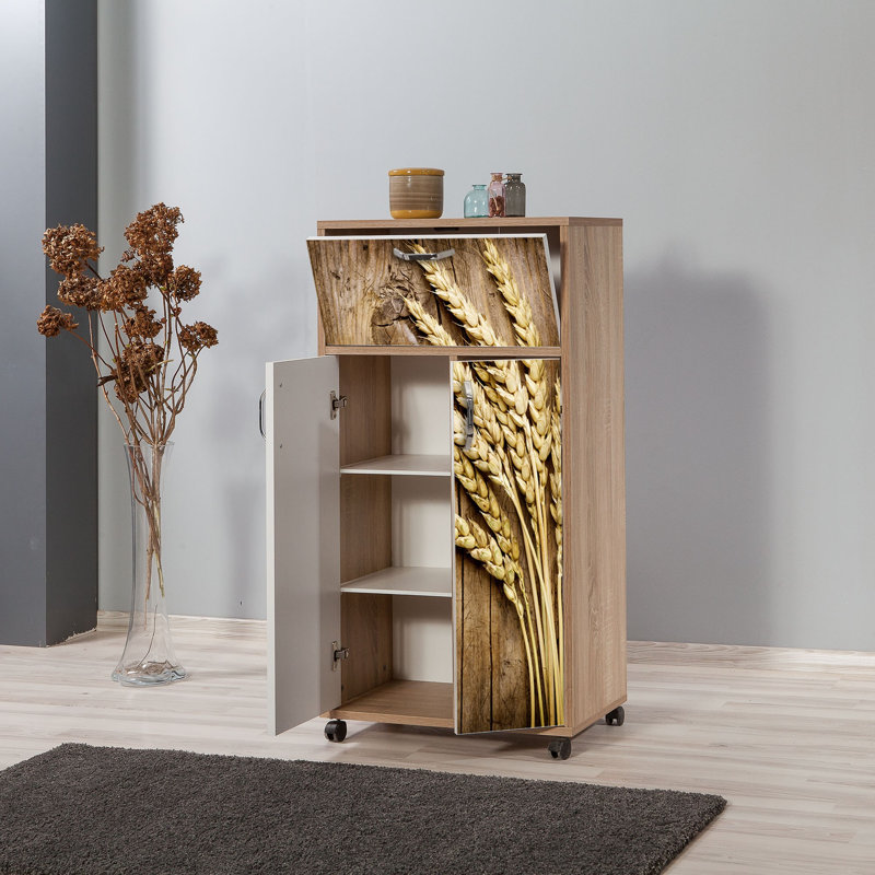 Brisson Rectangle Accent Chest