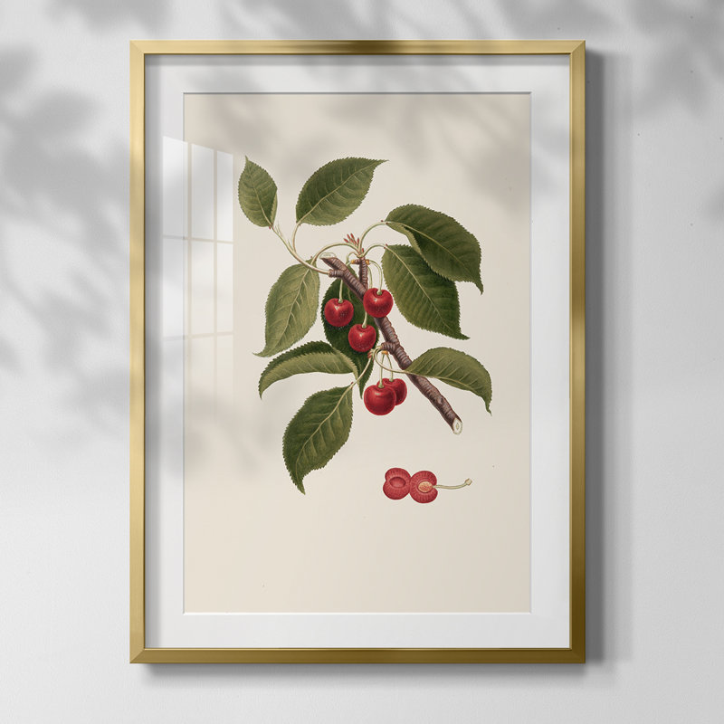 Vintage Floral Print XLIII -Framed Print