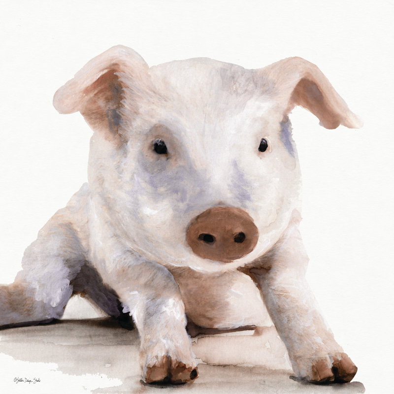 Biscuit par Stellar Design Studio - impression, H 30 po x l 30 po, No, Toile tendue