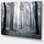 Forêt, art mural noir et blanc, photographie de paysage brumeux - Forêt brumeuse noir et blanc-19409641