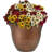 Ayaah Pot Planter-1796288146-1796288132
