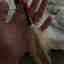 Customer photo 2 of 4