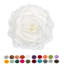  Housse de coussin en polyester-86924935-86924936-86924943
