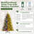 6' Pre-Lit Pine Christmas Tree