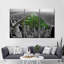 Impression sur toile Central Park Pop-1216654478