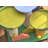 Ekkard 10'' H Cat Tree
