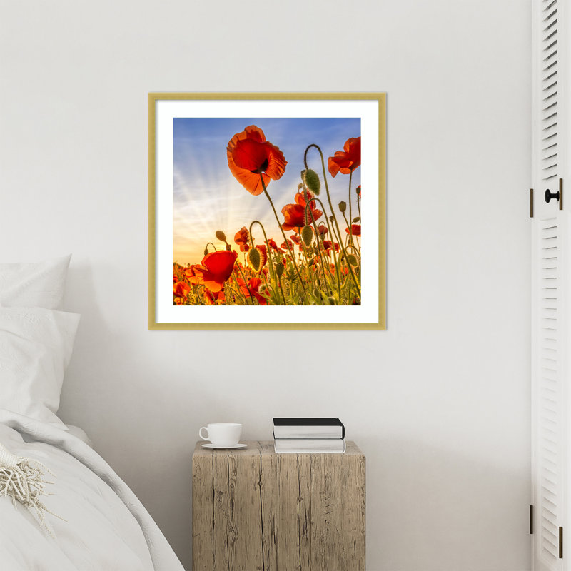 «Fascinating Poppies» par Melanie Viola, reproduction d'art encadrée sur bois, H 25 po x l 25 po